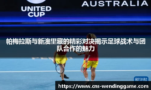帕梅拉斯与新澳里藏的精彩对决揭示足球战术与团队合作的魅力